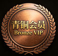 Bronze VIP