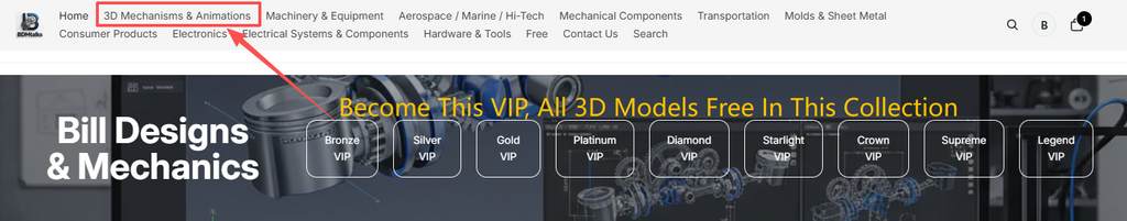 Bronze VIP
