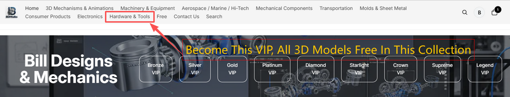 Silver VIP