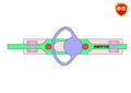 D0350 Reciprocating Mechanism