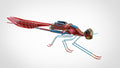 N348028 - Dragonfly-type Spy UAV Model 3D Drawings, Designed by CREO